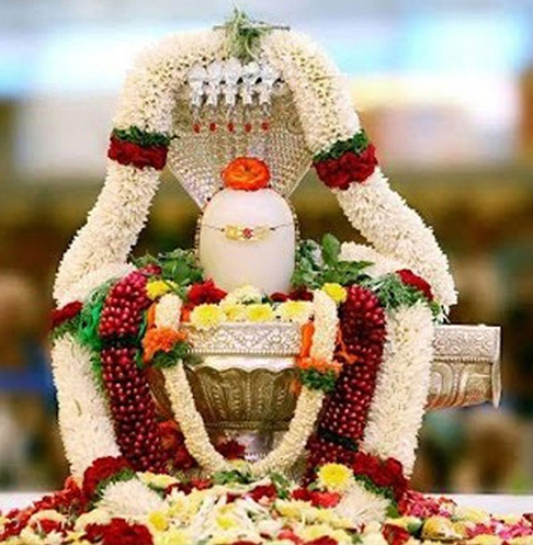 Kalsarp Pooja Trimbakeshwar