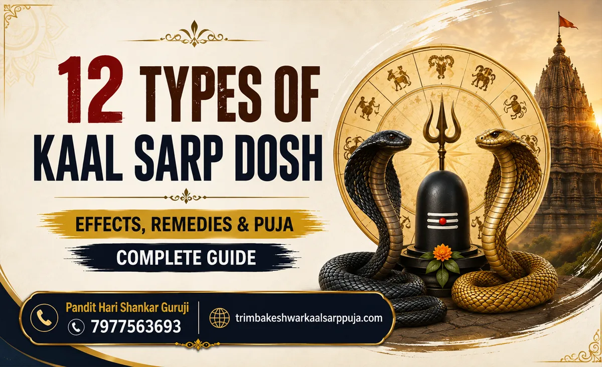 Types of Kaal Sarp Dosh: 12 Types, Effects, Remedies & Puja Guide